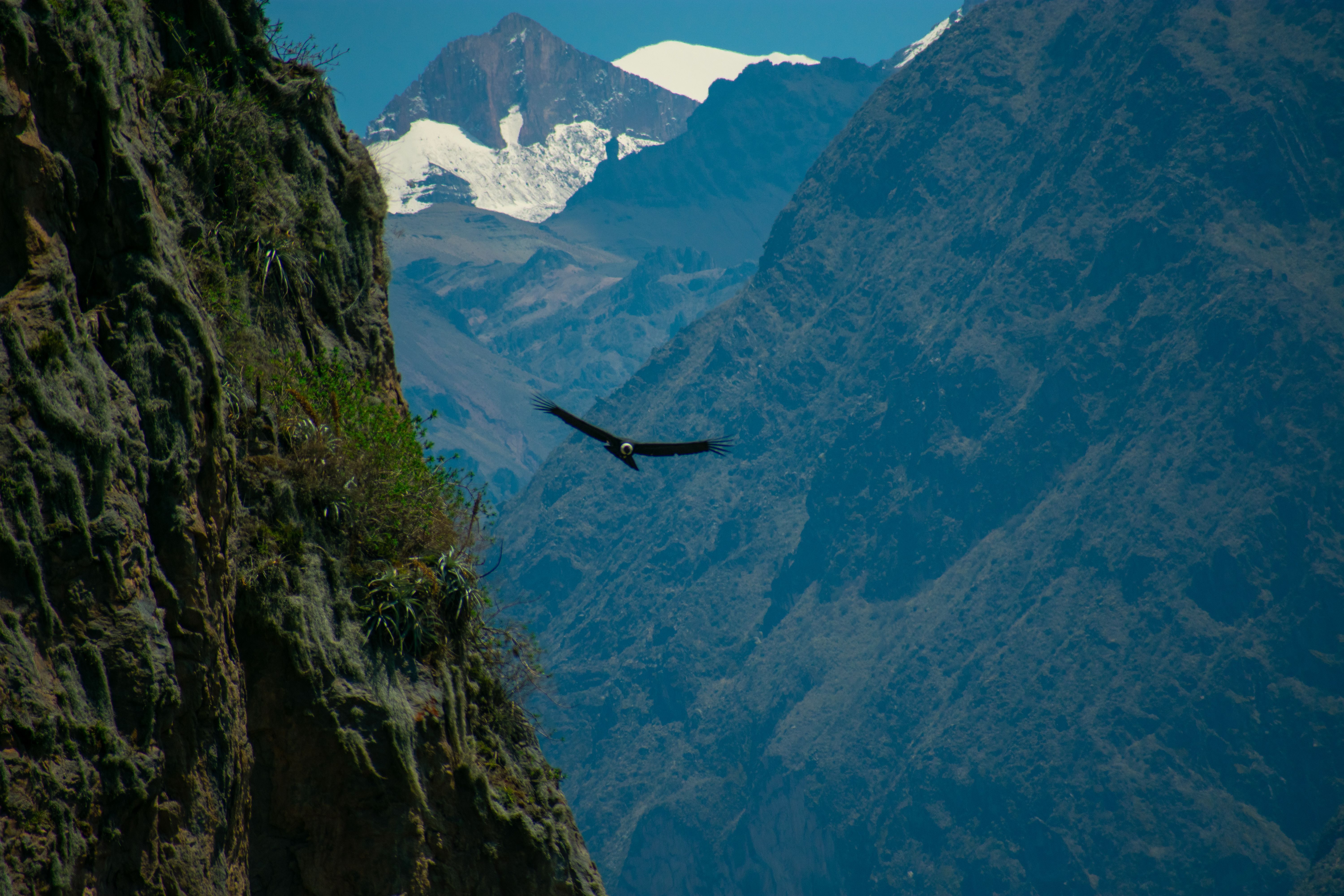 Cañón del Cóndor